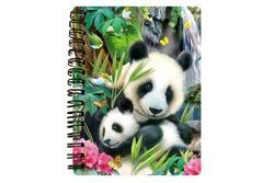 Zápisník A6 Panda 3D(24)