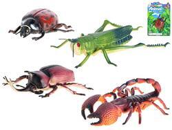 Hmyz 12-20cm 4druhy na kartě
