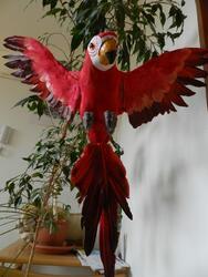 Papoušek s peřím 40cm