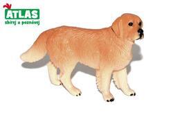 Pes zlatý retrívr 10cm