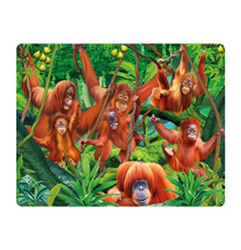 Pohlednice 3D 16cm - orangutan (25)
