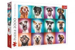 Puzzle Legrační psí portréty II 2000 dílků 