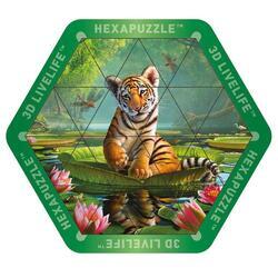 Hexapuzzle magnetické 17x15cm - tygr hnědý mládě (6)