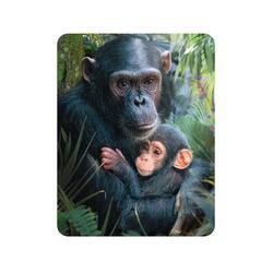 Magnet 3D 7x9cm - šimpanz s mládětem (25)