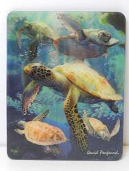 Magnet 3D 7x9cm - mořské želvy (25)