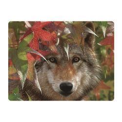 Pohlednice 3D 16cm - vlk v listí (25)