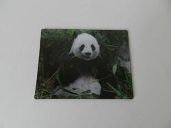 Magnet 3D 7x9cm - panda (12)