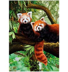 Obrázek 3D 30x40cm - panda červená