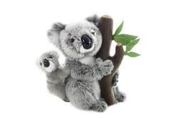 Koala s mládětem plyš 25cm
