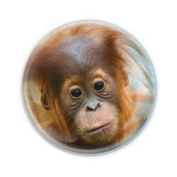 Magnet kulatý 5cm - orangutan (12)