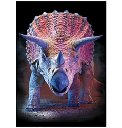 Obrázek 3D 30x40cm Triceratops