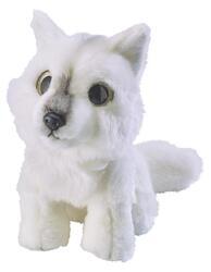 Vlk polární sedící plyš 20cm, velké oči(6ks/bal)