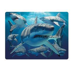 Pohlednice 3D 16cm - žralok bílý (25)
