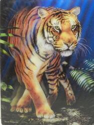 Pohlednice 3D 16cm - tygr hnědý ve tmě (25)