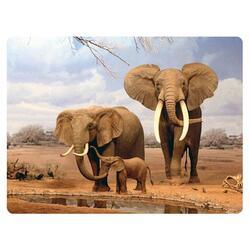 Pohlednice 3D 16cm - sloni (25)
