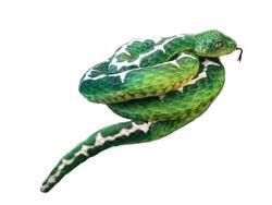 Had psohlavec zelený plyš 300cm (20)