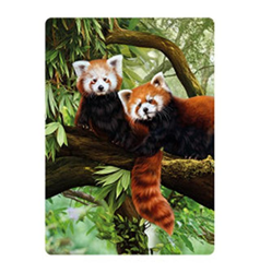 Pohlednice 3D 16cm - pandy červené (25)