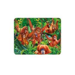 Magnet 3D 7x9cm - orangutani na liánách (25)