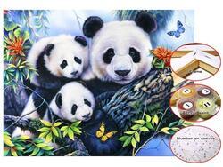 Malování s čísly plátno 30x40cm - panda