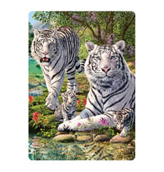 Pohlednice 3D 16cm - bílí tygři (25)