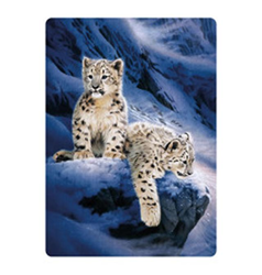 Pohlednice 3D 16cm - sněžní leopardí (25)
