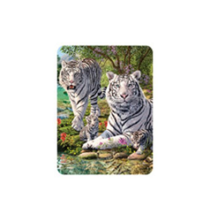 Magnet 3D 7x9cm - bílí tygři (25)