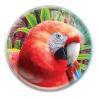 Magnet kulatý 5cm - papoušek (12)