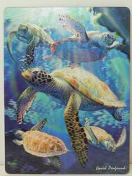 Pohlednice 3D 16cm - mořské želvy (25)