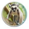 Magnet kulatý 5cm - lemur (12)