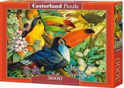 Puzzle tukani 3000dílků