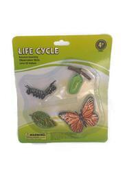 Životní cyklus motýla na kartě 22x19cm 