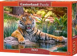 Puzzle tygr hnědý 500dílků