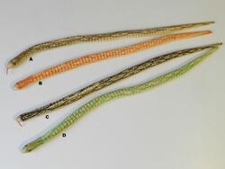 Had dřevěný 50cm, 4druhy (24)