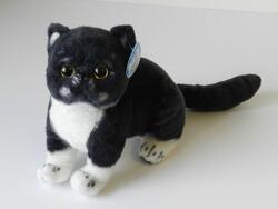 Kočka exotická černo-bílá plyš 26cm 