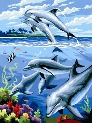 Malování podle čísel 22x30cm Delfíni