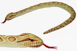Had krajta žlutá plyš 150cm (6)