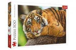 Puzzle Portrét tygra 500dílků 48x34cm