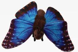 Motýl modrý plyš 21cm (6)