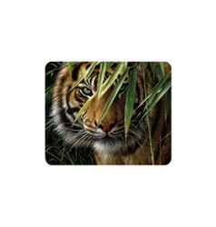 Magnet 3D 7x9cm - tygr hnědý v džungli (25)