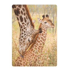Pohlednice 3D 16cm - žirafa a mládě (25)