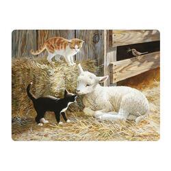 Pohlednice 3D 16cm - kočky s ovcí na seně (25)