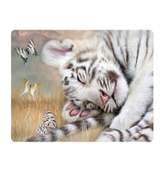 Pohlednice 3D 16cm - tygr bílý mládě (25)