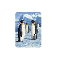 Magnet 3D 7x9cm - tučňáci (25)
