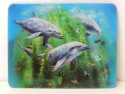 Magnet 3D 7x9cm - delfíni v chaluhách (25)