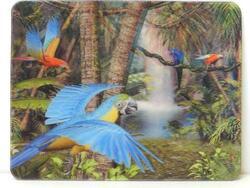 Pohlednice 3D 16cm - papoušci (25)