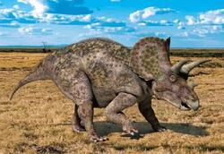 Pohlednice 3D 16cm  - triceratops (25)