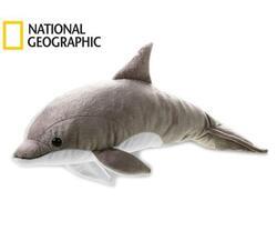 Delfín NG plyš 42cm