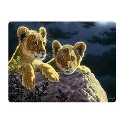 Pohlednice 3D 16cm - lvíčata v noci (25)