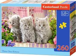 Puzzle kočky 260dílků