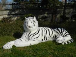Tygr bílý OBR plyš ležící 220cm